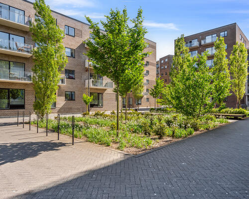 4 værelses lejlighed i Aalborg