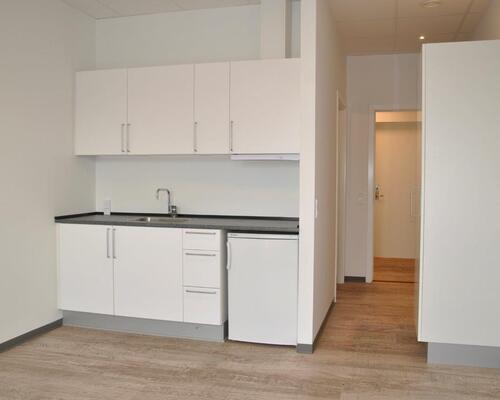 1 værelses lejlighed i Viborg