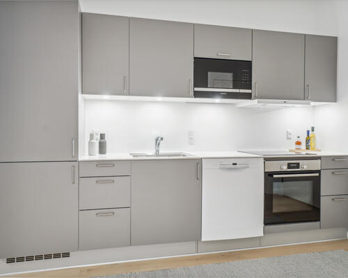 Nyopført 1-værelses lejlighed på Østre Havn i Aalborg