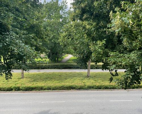 Sjældent udbudt baghus i Odense C