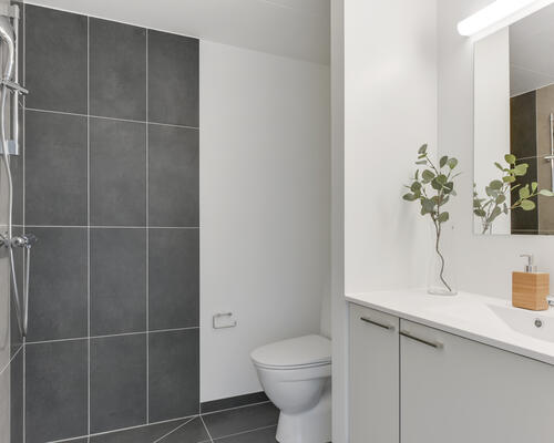 4 værelses hus i Malling