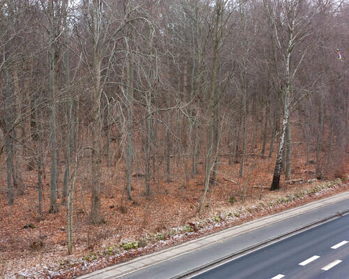 3 værelses lejlighed i Rungsted Kyst