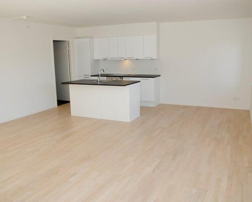 2 værelses lejlighed i Viborg