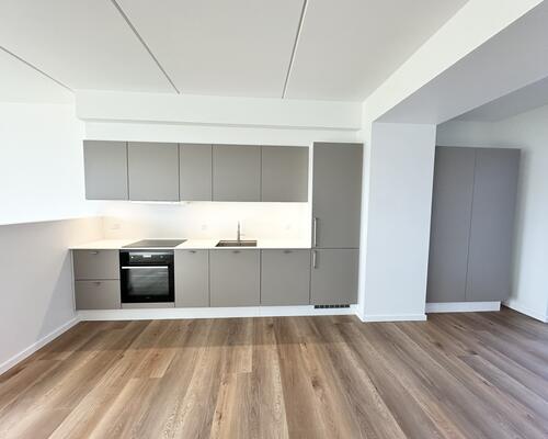 Moderne rækkehus med naturskøn udsigt ved Stigsborg