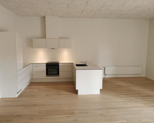 2 værelses lejlighed i Odense C