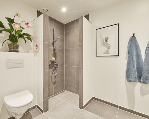 3 værelses hus i Ryslinge