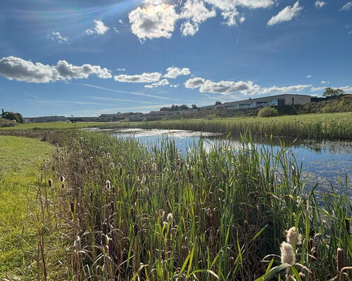 3 værelses hus i Hedensted