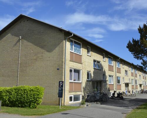 Hyggelig 1-værelses lejlighed i Fredericia med god atmosfære