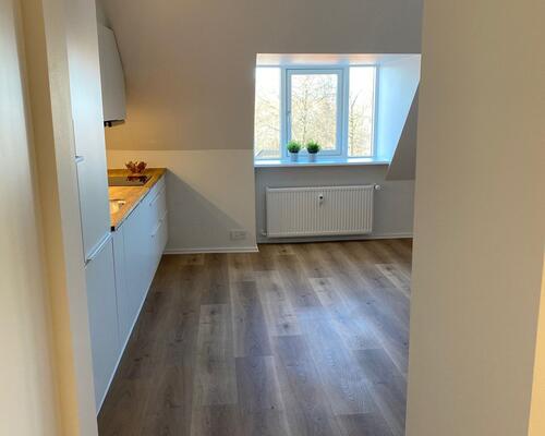 Lækker 1-værelses med alt der er behov for