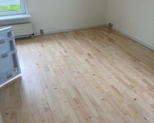 Studiebolig i Aalborg Øst med mulighed for husdyr