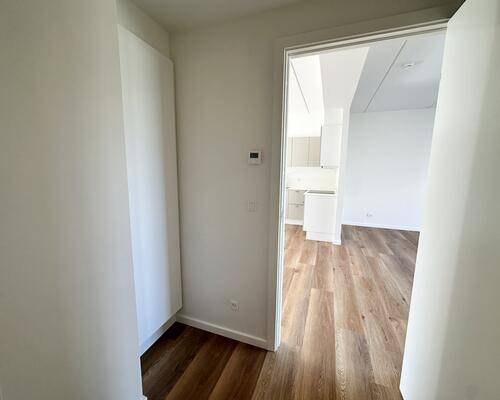 Indbydende 3-værelses lejlighed med stor altan i Nørresundby