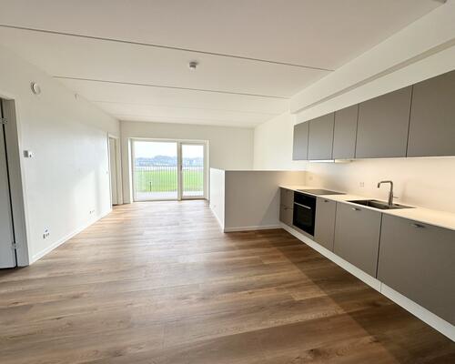 Moderne rækkehus med naturskøn udsigt ved Stigsborg