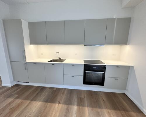 Moderne lejlighed med stor altan og tagterrasse i Nørresundby