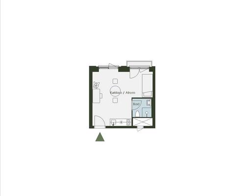 1 værelses lejlighed i København S