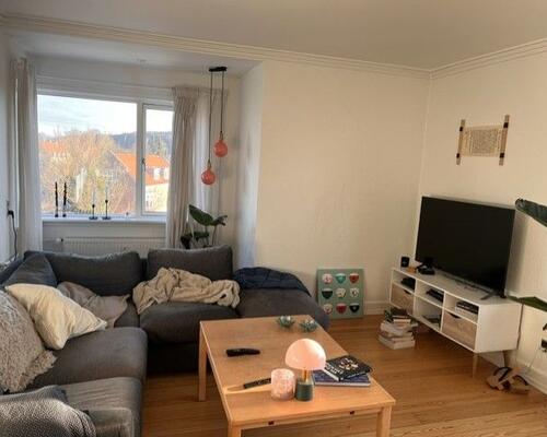 Stor dejlig lejlighed på Trøjborg