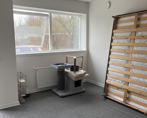 stort vær. i Odense SV