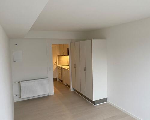 Dejlig lejlighed for den studerende