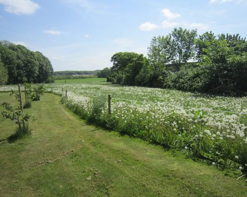 3 værelses lejlighed i Broby