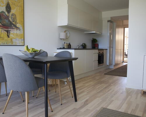 Lys toværelses bolig med egen terrasse, stort badeværelse og privat depotrum