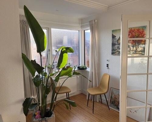 Stor dejlig lejlighed på Trøjborg