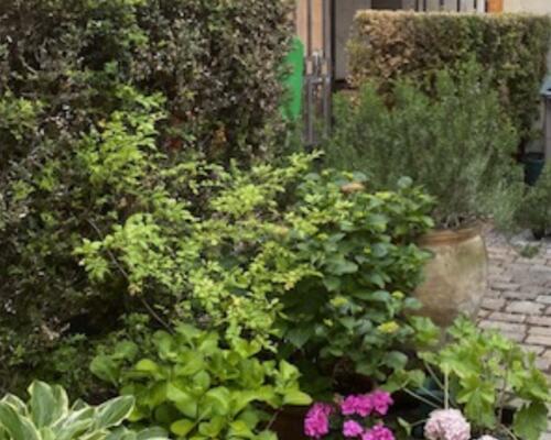 Direkte udsigt til Kongens Have og Rosenborg Slot