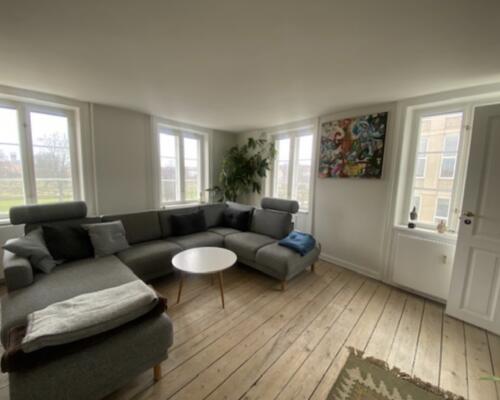 Direkte udsigt til Kongens Have og Rosenborg Slot