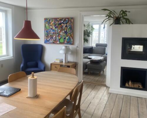 Direkte udsigt til Kongens Have og Rosenborg Slot