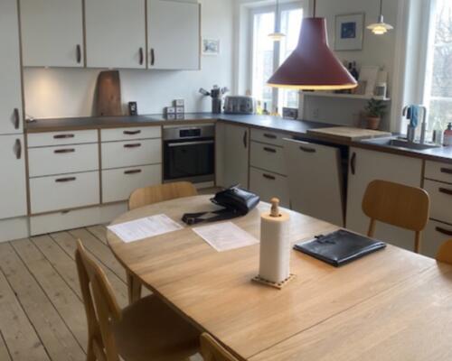 Direkte udsigt til Kongens Have og Rosenborg Slot