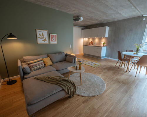 3 værelses lejlighed i Odense C