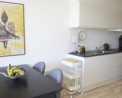 Lys toværelses bolig med egen terrasse, stort badeværelse og privat depotrum