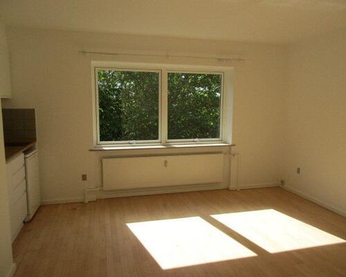 1V'er på Rådhusvej