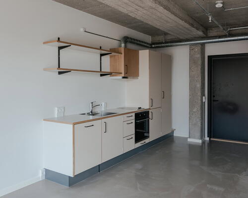 Rummeligt studio et stenkast fra Amagerbro