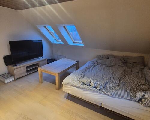 Hyggelig 1-værelses lejlighed med eget køkken og bad