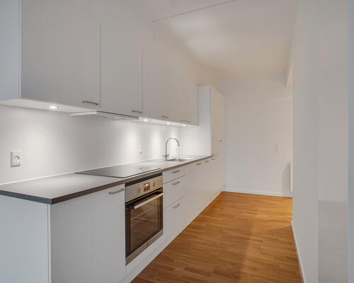 2 værelses lejlighed i Hillerød