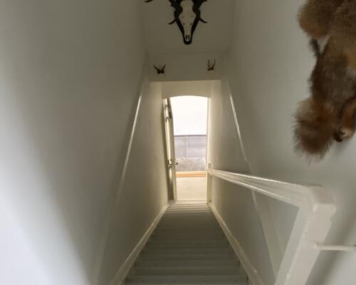 Lækker nyrenoveret lejlighed.