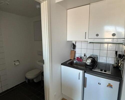 Hyggelig 2-værelses studielejlighed på attraktive Frederiksberg C