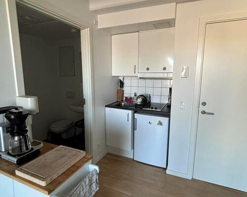 Hyggelig 2-værelses studielejlighed på attraktive Frederiksberg C