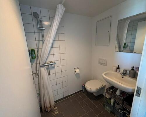 Hyggelig 2-værelses studielejlighed på attraktive Frederiksberg C