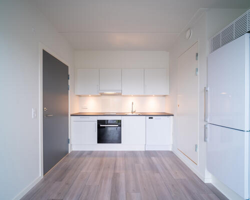 1-værelses lejlighed i centrum!