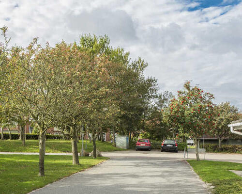 2 værelses lejlighed i Esbjerg