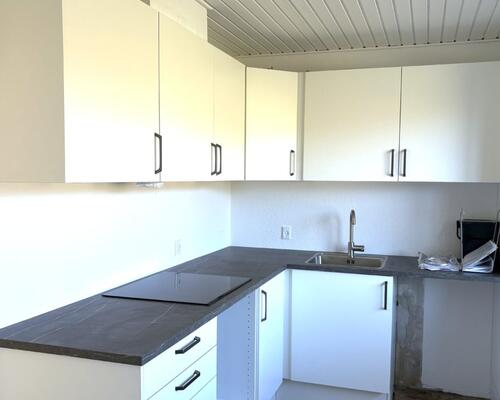 Ny renoveret 1-planshus i lukket vænge tæt på grønne områder – 87 Kvm