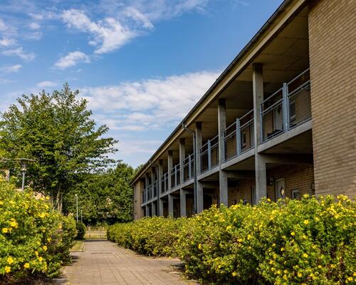 1 værelses lejlighed i Odense SØ