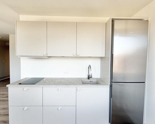 1 værelses – Skovvej 33, 4. lejl. 8 – 9400 Nørresundby