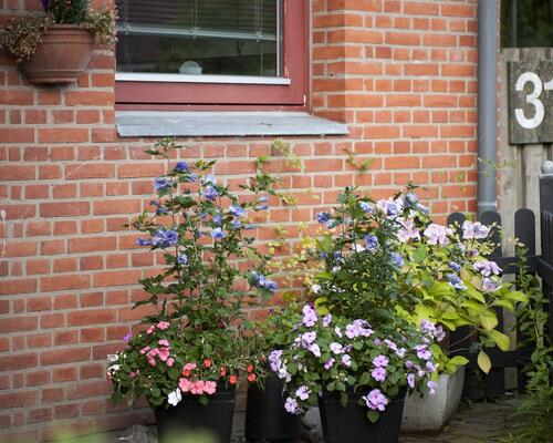 4 værelses hus i Aalborg SØ