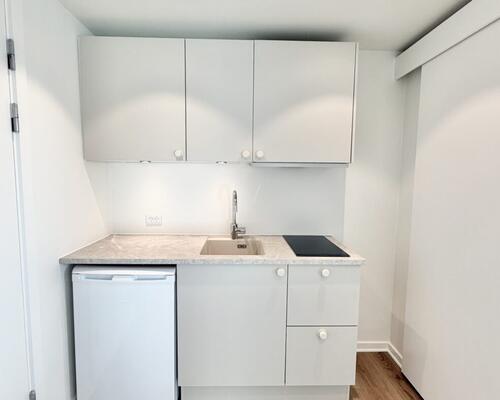 1 værelses – Skovvej 33, 4. lejl. 3 – 9400 Nørresundby