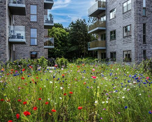 Skøn 2 vær. lejlighed udlejes i det skønne Strandhøjen