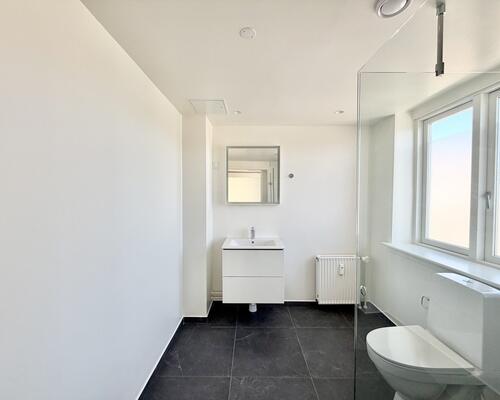 Moderne 1-værelses lejlighed i hjertet af Nørresundby