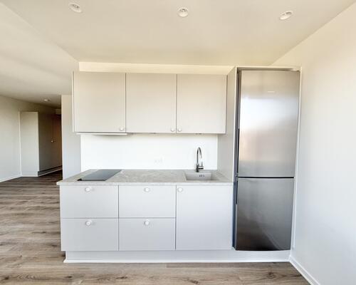 Moderne 1-værelses lejlighed i Nørresundby nær natur og byliv