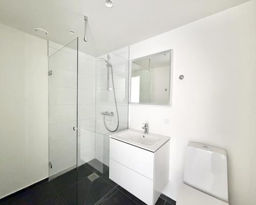 Moderne 1-værelses lejlighed i Nørresundby nær natur og byliv