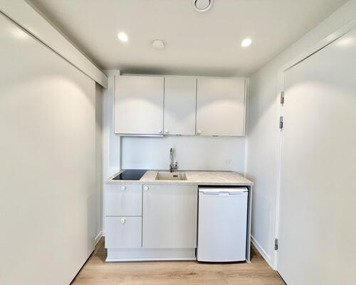 Moderne 1-værelses lejlighed med altan og udsigt